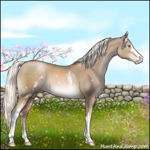 Horse Color:White Spotted Liver Chestnut Pearl Mushroom Sabino 