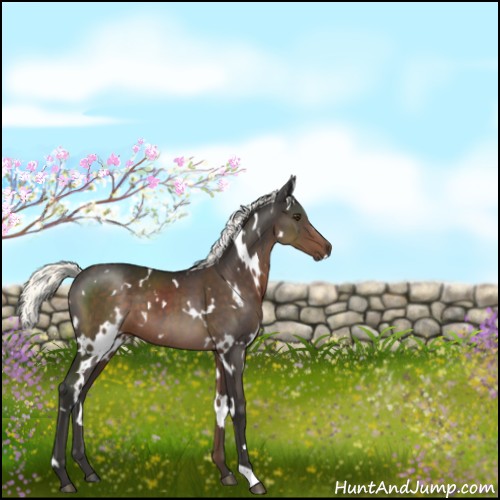 Horse Color:White Spotted Liver Chestnut Mushroom 