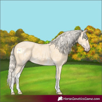 Horse Color:White Spotted Gold Cream Champagne Ice Sabino