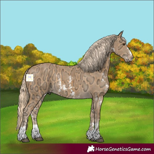 Horse Color:Palomino Ice Sabino 