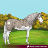 Horse Color:Silver Sable Champagne Ice Dun Splash 