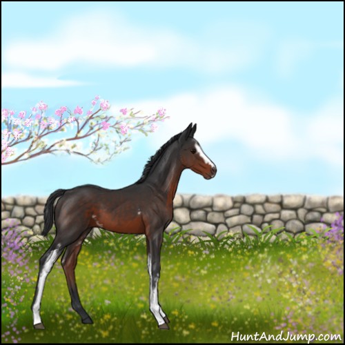 Horse Color:White Spotted Brown Sabino 