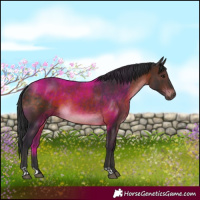 Horse Color:Brown 