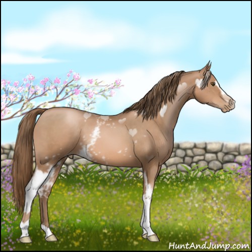 Horse Color:White Spotted Liver Chestnut Pearl 