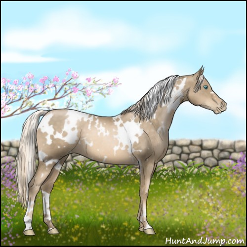 Horse Color:White Spotted Chocolate Palomino Pearl 