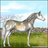 Horse Color:Chocolate Palomino Mushroom Splash 