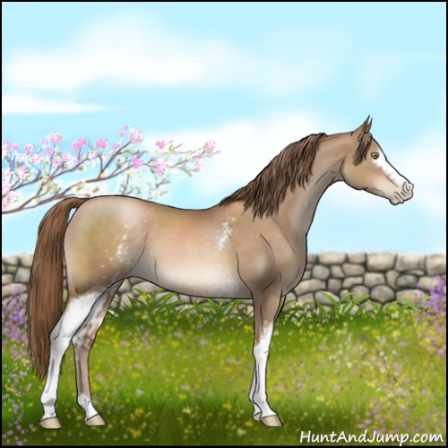 Horse Color:White Spotted Liver Chestnut Pearl 