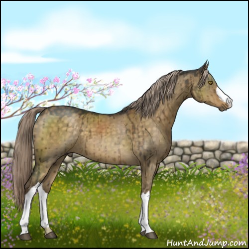 Horse Color:Chocolate Palomino Dun Brindle 