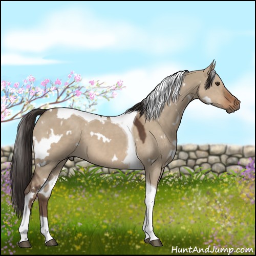 Horse Color:White Spotted Liver Red Dun Tobiano 