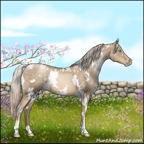Horse Color:White Spotted Chocolate Palomino Pearl