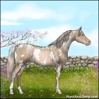 Horse Color:White Spotted Chocolate Palomino Pearl 