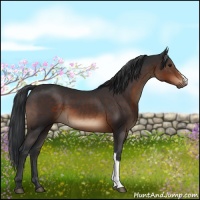 Horse Color:Brown 