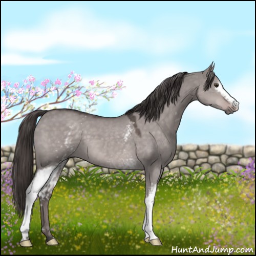 Horse Color:Platinum White Spotted Liver Red Dun 