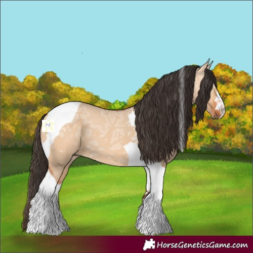 Horse Color:Bay Ice Dun Tobiano 