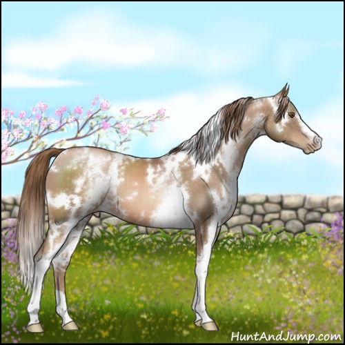 Horse Color:White Spotted Liver Chestnut Pearl 
