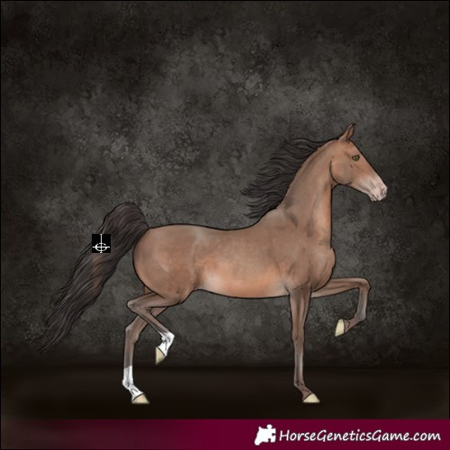 Horse Color:Sable Champagne