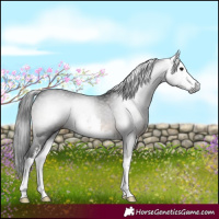 Horse Color:Gray White Spotted Brown Mushroom 