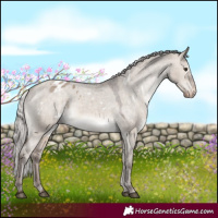 Horse Color:White Spotted Silver Brown Dun Varnish 