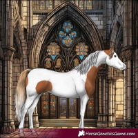 Horse Color:Chestnut Splash Tobiano