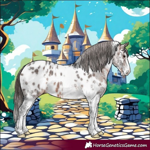 Horse Color:White Spotted Brown Appaloosa 