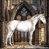 Horse Color:White Spotted Chestnut Frame 