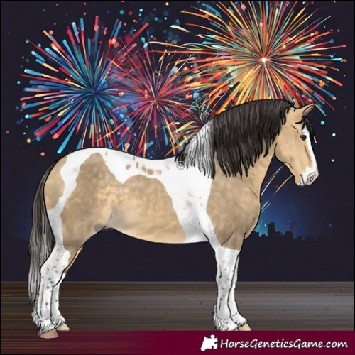 Horse Color:Buckskin Dun Splash Tobiano 