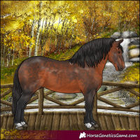 Horse Color:Brown 