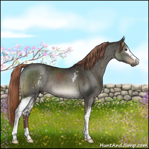 Horse Color:White Spotted Liver Red Dun Brindle 