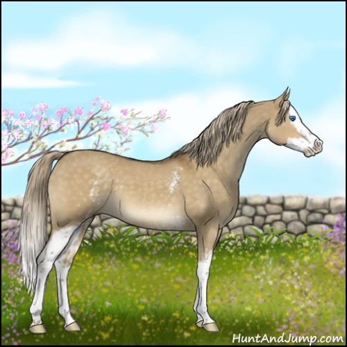 Horse Color:White Spotted Chocolate Palomino Dun Splash 