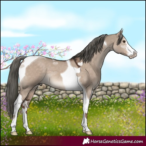 Horse Color:White Spotted Liver Red Dun Mushroom Tobiano 