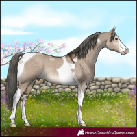 Horse Color:White Spotted Liver Red Dun Mushroom Tobiano 