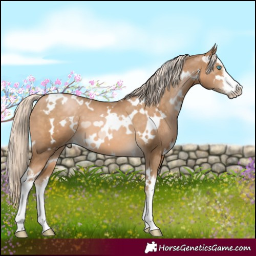 Horse Color:White Spotted Chocolate Palomino Pearl 
