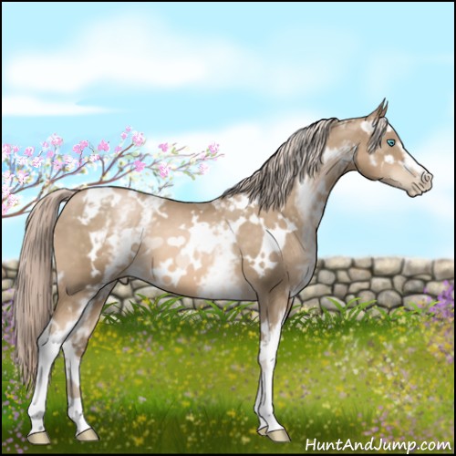 Horse Color:White Spotted Chocolate Palomino Pearl 