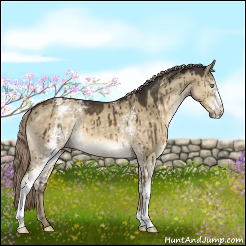 Horse Color:White Spotted Chocolate Palomino Dun Mushroom Brindle 