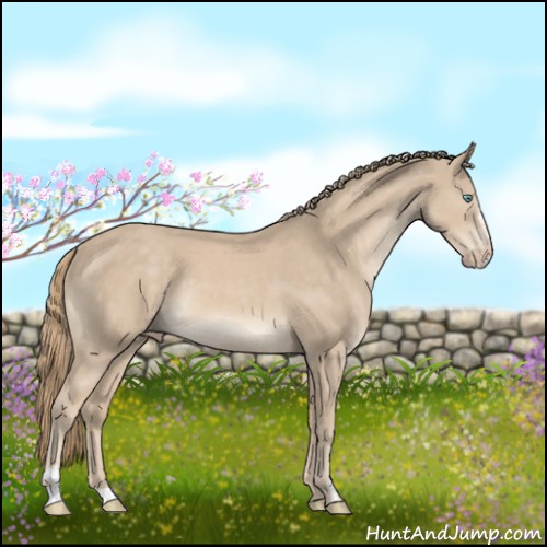 Horse Color:Smoky Creme Sabino 