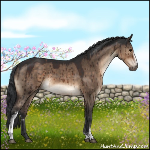 Horse Color:White Spotted Brown Dun Brindle 