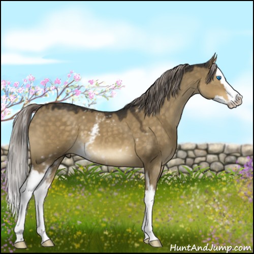 Horse Color:White Spotted Chocolate Palomino Dun Splash 