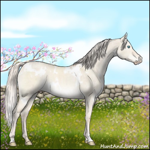 Horse Color:White Spotted Cremello Dun Mushroom Brindle 