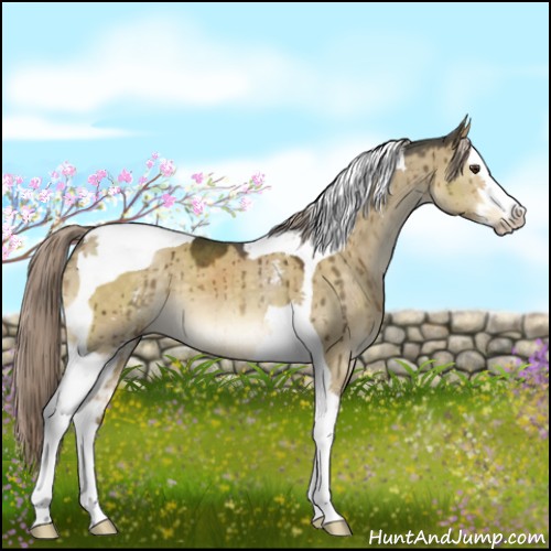 Horse Color:White Spotted Chocolate Palomino Dun Splash Tobiano Brindle 