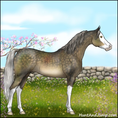 Horse Color:Chocolate Palomino Mushroom Splash 