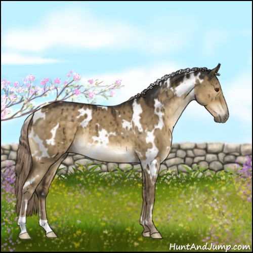 Horse Color:White Spotted Chocolate Palomino Dun Brindle 