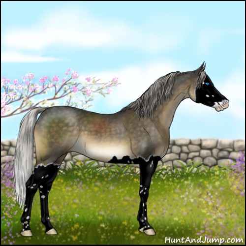 Horse Color:Chocolate Palomino Mushroom Splash 