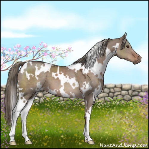 Horse Color:White Spotted Liver Red Dun Mushroom 