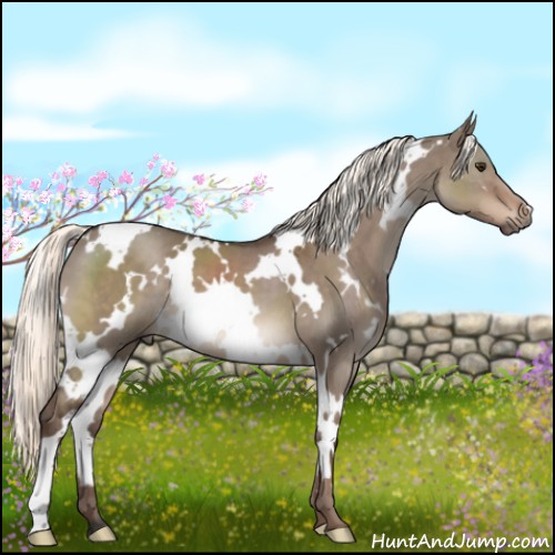 Horse Color:White Spotted Liver Red Dun Mushroom 