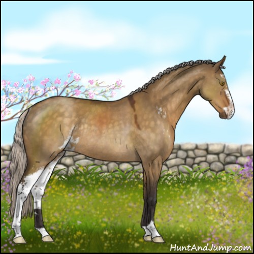 Horse Color:Silver Buckskin Dun Sabino Rabicano 