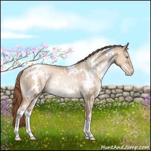 Horse Color:White Spotted Buckskin Pearl Dun Rabicano 