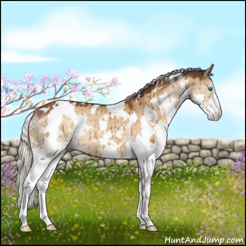Horse Color:White Spotted Silver Buckskin Dun Splash Rabicano Brindle 
