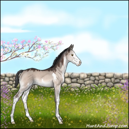 Horse Color:Brown Dun Mushroom Sabino Splash 