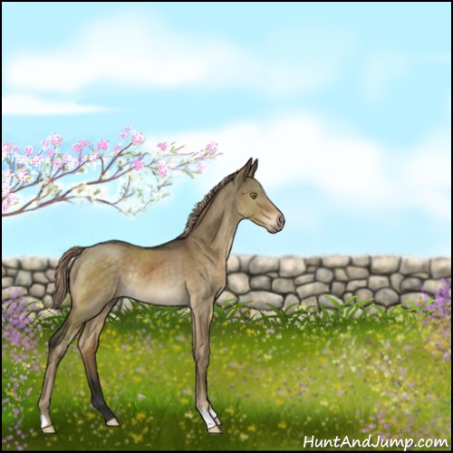 Horse Color:Chocolate Palomino Dun Rabicano 