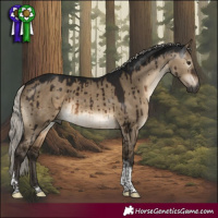 Horse Color:Gray Silver Brown Dun Sabino Tobiano Brindle 